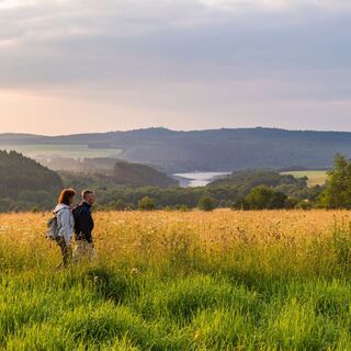Wiesenpfad mit Blick zur Steinbachtalsperre