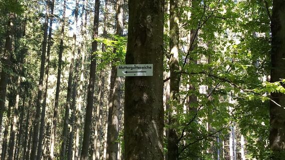 Wegweiser Maria Muttergotteseiche