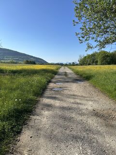 Zdjęcie z Andi Felix wzdłuż trasy
