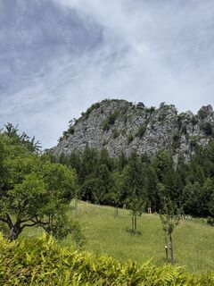 Foto von DERRICK entlang der Tour