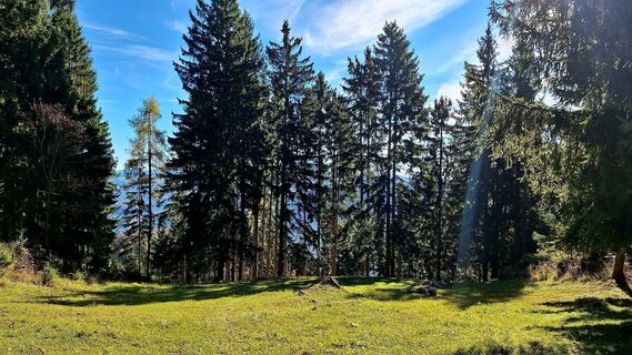 Fotografija s spletne strani Regina Fleischmann na poti