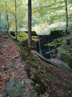 Photo de Daniel Kremiec le long du parcours