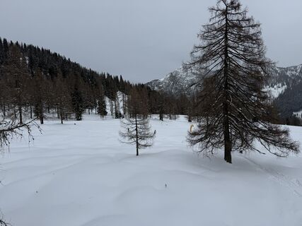 Foto von Jörg Schöneich entlang der Tour
