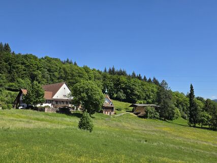 Foto da Noreen (NoKe) lungo il tour