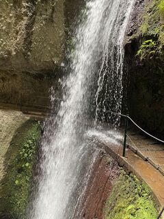 Zdjęcie z Susanne Rechsteiner wzdłuż trasy