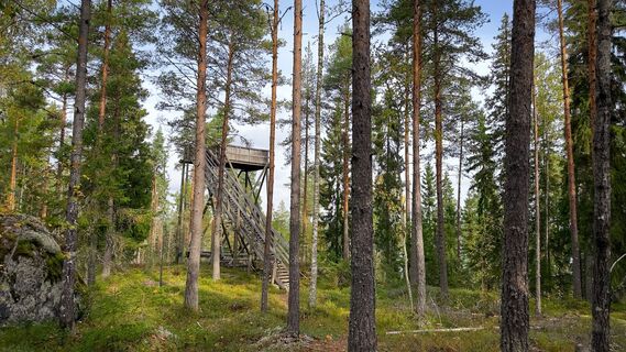 Der Aussichtsturm im Erholungsgebiet Vähäniemi steht am Waldrand, auf einem Felsen.