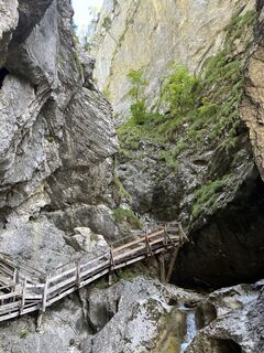 Fotografija s spletne strani csamay na poti
