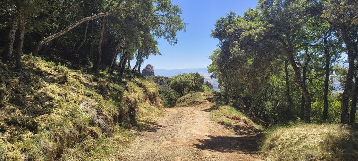 Foto de Peter Fasol a lo largo del recorrido