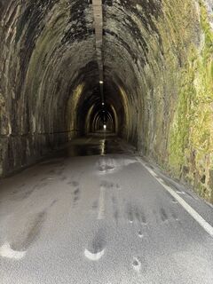 Fotografija s spletne strani Timm Boldt na poti