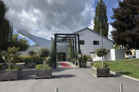 Fotografie de la Armin H. de-a lungul turului