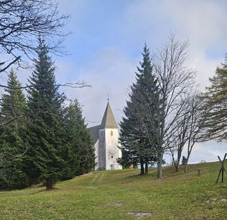 Fotografija s spletne strani Zikret Selimović na poti