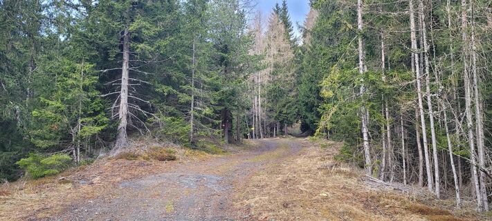 Fotografia z passiflora71 na trase