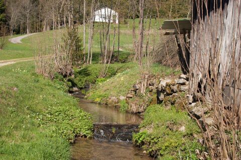 Ein idyllisches Bächlein in Steinbach