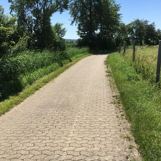 Rundweg am See