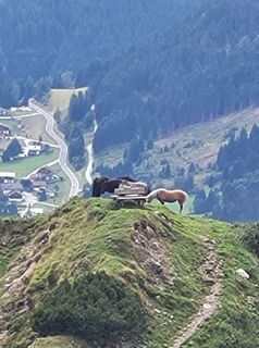 Photo from Gudi kowa along the tour