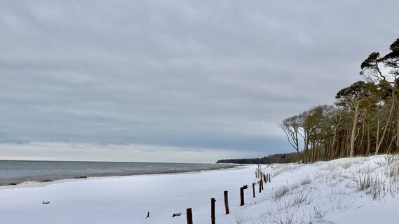 Zdjęcie z Frank Hans wzdłuż trasy