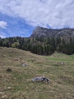 Foto de Anita Jäckel-Schwarz a lo largo del recorrido