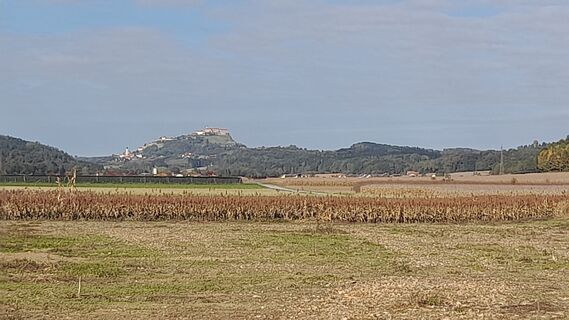 Photo de Bernhard Thiebet le long du parcours