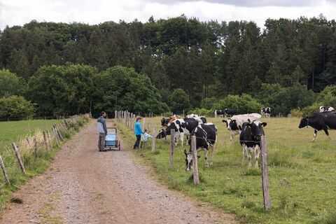Milchweg Kall 