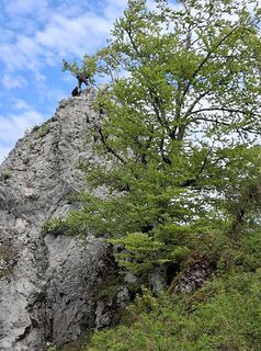 Foto von ferdinand wieländer 1 entlang der Tour