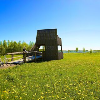 Vogelbeobachtungsturm Pohjanranta