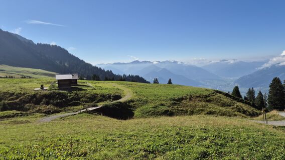 Fotografia z alinradu na trase