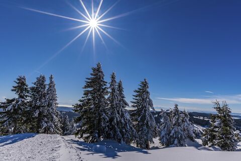 Winterlandschaft am Feldberg