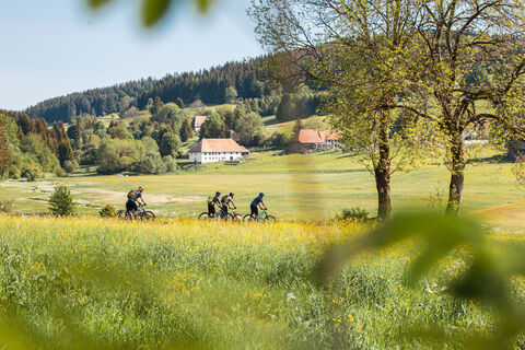 MTB im Südschwarzwald