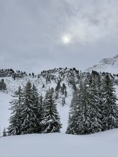 Zdjęcie z Klkohler03 wzdłuż trasy