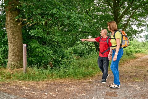 Wandern im Venner Moor