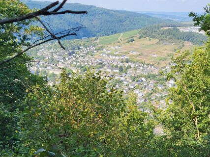 Foto da yolanda beck lungo il tour