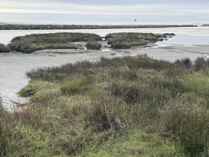 Fotografija s spletne strani Heike Hadamus na poti