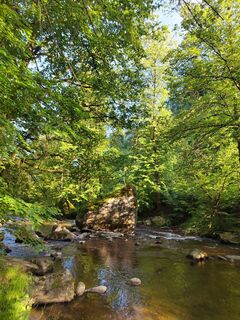 Fotografia z ReginaSt na trase