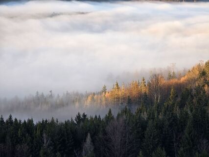 Fotografia z TwilightTea na trase
