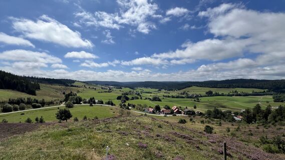 Foto från Volki F. under resans gång