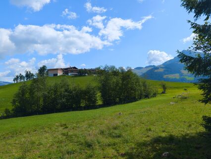 Fotografija s spletne strani Jeroen de Graaff na poti