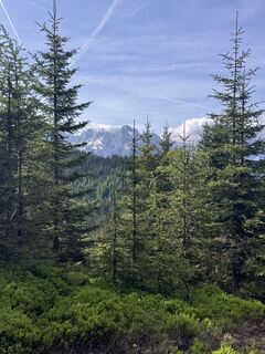 Zdjęcie z Matthias Rath wzdłuż trasy