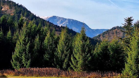 Фото с сайта Regina Fleischmann во время экскурсии
