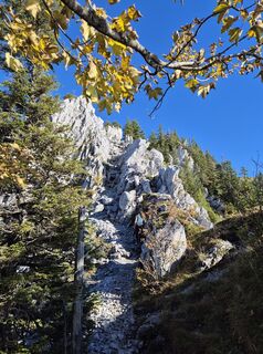 Photo de alinradu le long du parcours