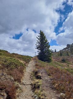 Fotografia z Greg+Lisa na trase