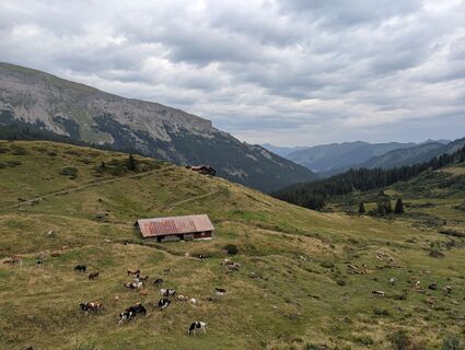 Fotografija s spletne strani Arne Schlieder na poti