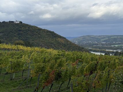 Foto da Iulia Rubtsova lungo il tour
