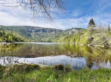 Photo de Natur_erleben_dg le long du parcours