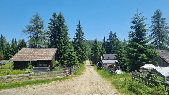 Foto da Oli Heise lungo il tour