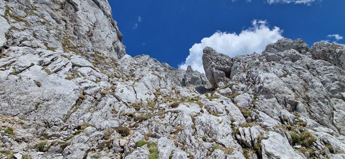 Photo de Pitilove97 le long du parcours