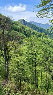 Foto von Christian Weitzl entlang der Tour