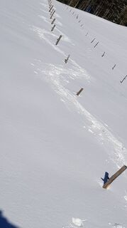 Foto von Harald entlang der Tour