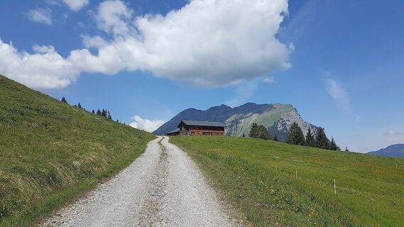 Die Godlachalpe mit der Kanisfluh im Hintergrund