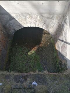 Foto von Dagmar Hofer entlang der Tour