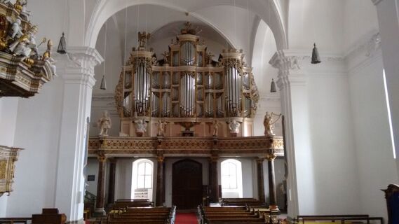 Kloster Grauhof - Stiftskirche St. Georg - Treutmann Orgel